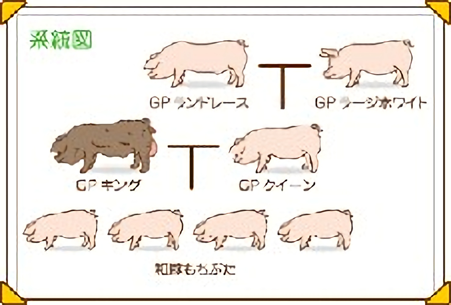 おいしい・安全・ヘルシー 和豚もちぶた