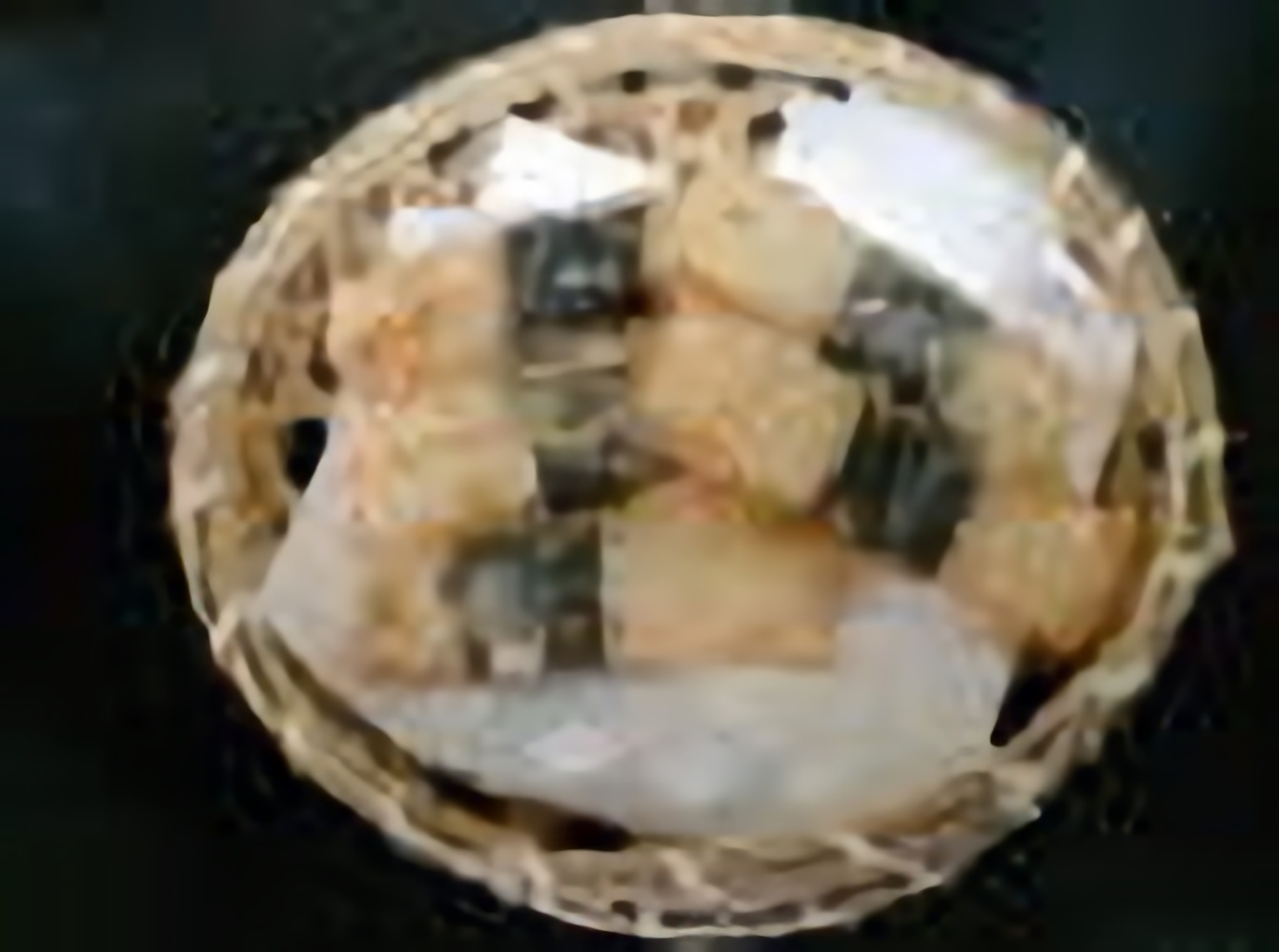 山芋短冊揚げ<br>726円